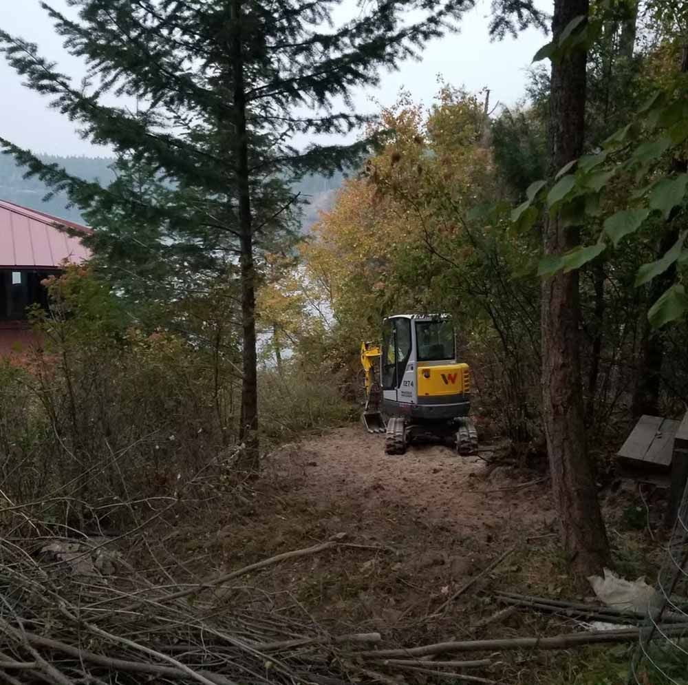 Yellow excavator clearing a wooded trail beside a red-roofed building