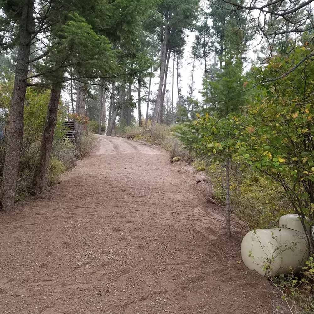 Dirt trail winding uphill through a pine forest with shrubs and a white propane tank on the right