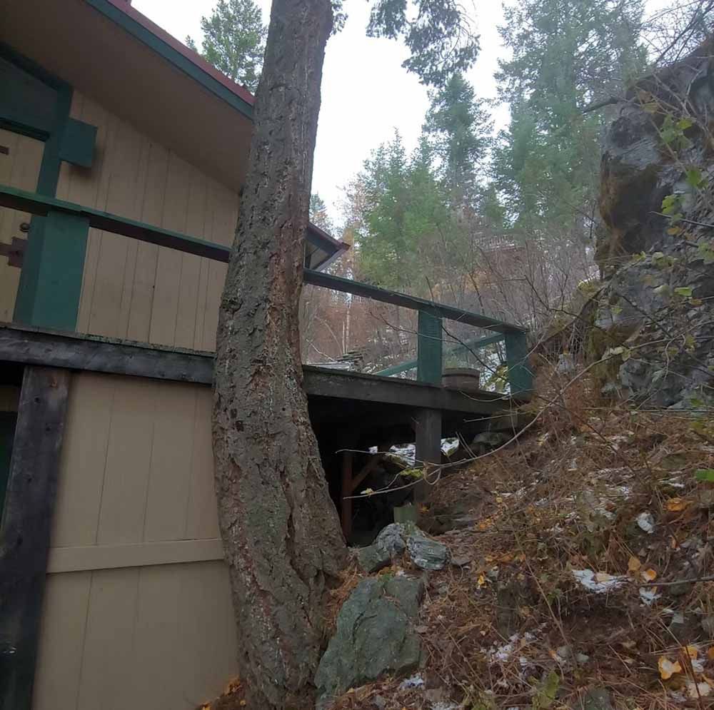 Cabin exterior beside a rocky forest slope, with a large tree in front and a raised deck walkway