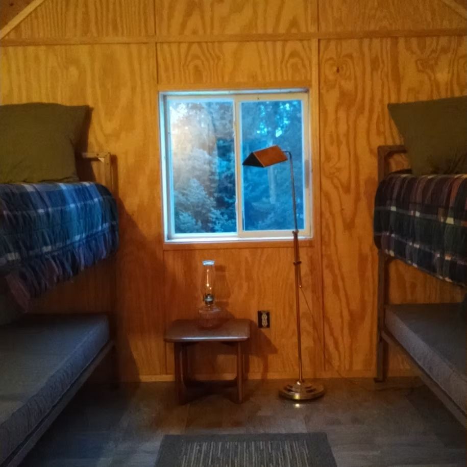 Cozy wooden bunk room with two beds, window, side table, and lamp.