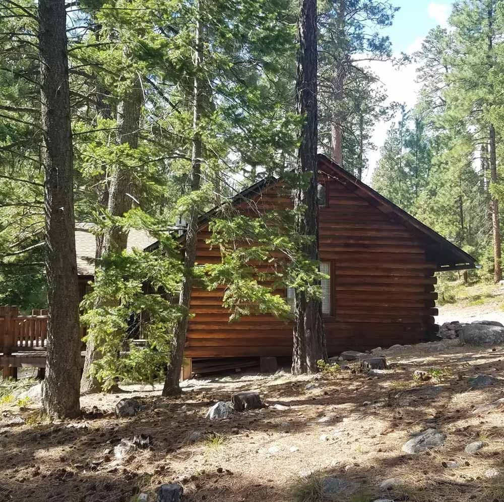 Wooden cabin among tall pine trees in a sunny forest clearing