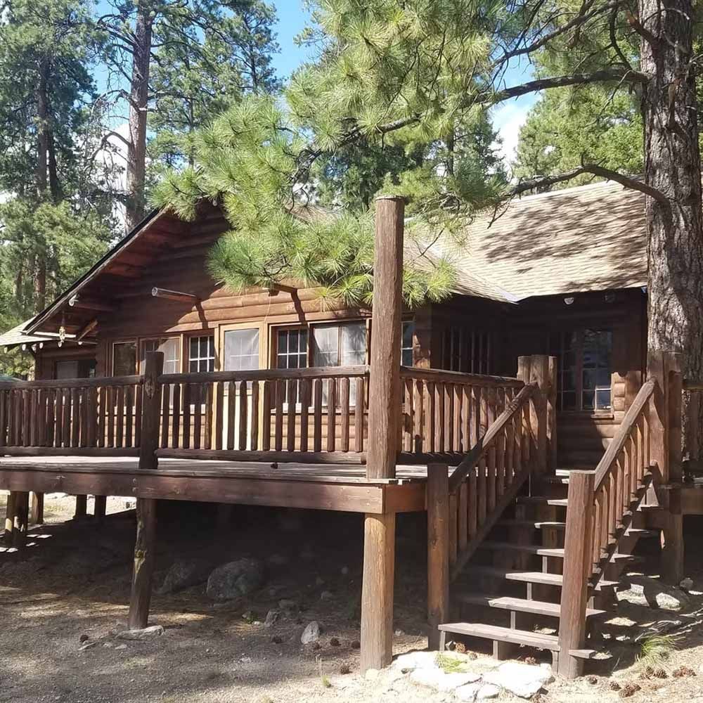 Rustic wooden cabin with a wraparound porch and stairs среди tall pine trees