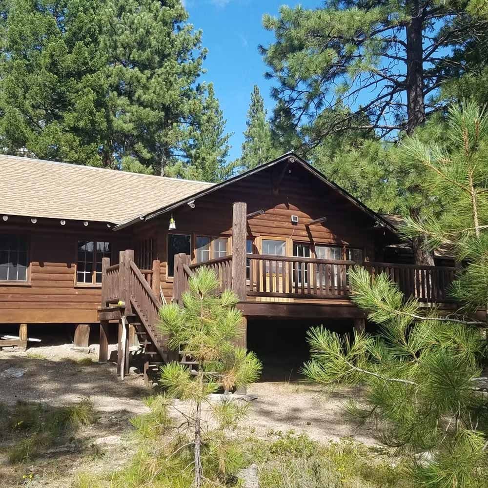 Wooden cabin with front porch and stairs among pine trees in a sunny forest clearing
