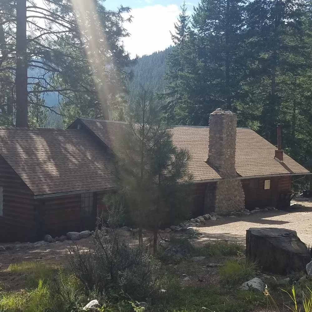 Rustic cabin with stone chimney in a pine forest, sunlight streaming through trees.