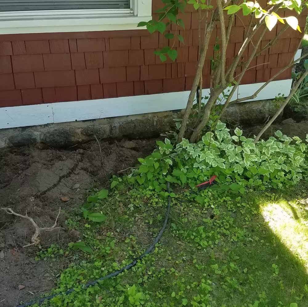 Garden bed beside a house with shrubs, exposed soil, and a hose on the ground