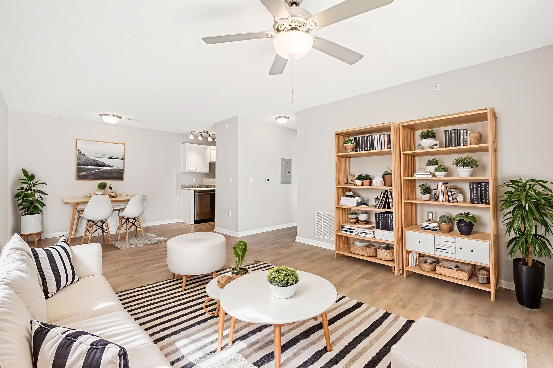 Bright living room with striped rug, white sofa, round ottoman, wood shelving, and potted plants.
