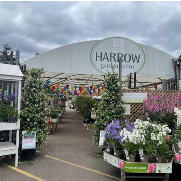 picture of flowers for sale