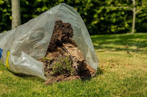 old wood in the plastic