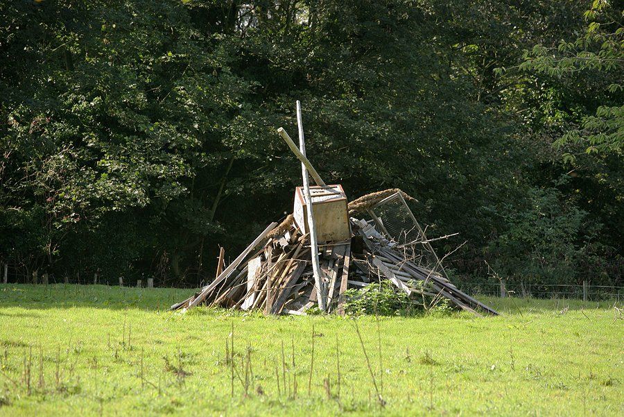 old woods in the grass