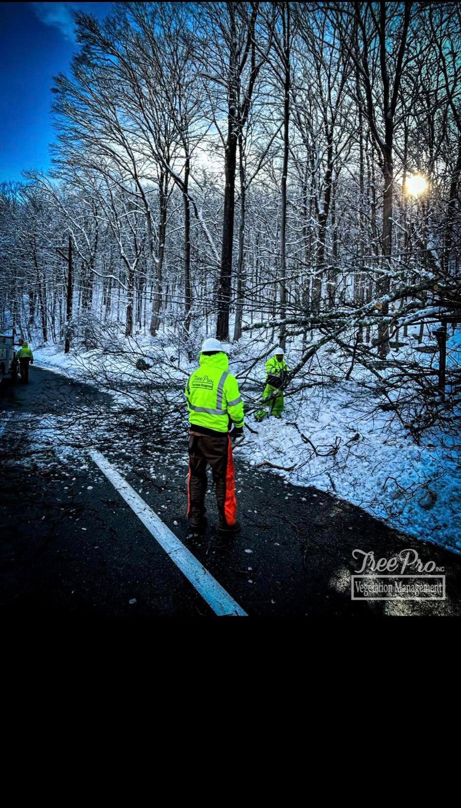 Runner in neon jacket on snowy forest road at sunrise, with blue sky and bare trees.