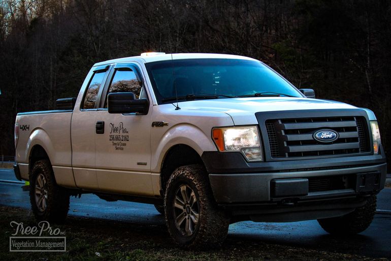 White Ford pickup truck parked outdoors on a gravel road at dusk White Ford pickup truck parked outdoors on a gravel road at dusk
