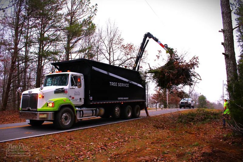 Truck hauling tree branches on a rainy roadside, using a crane to load debris into the bed.