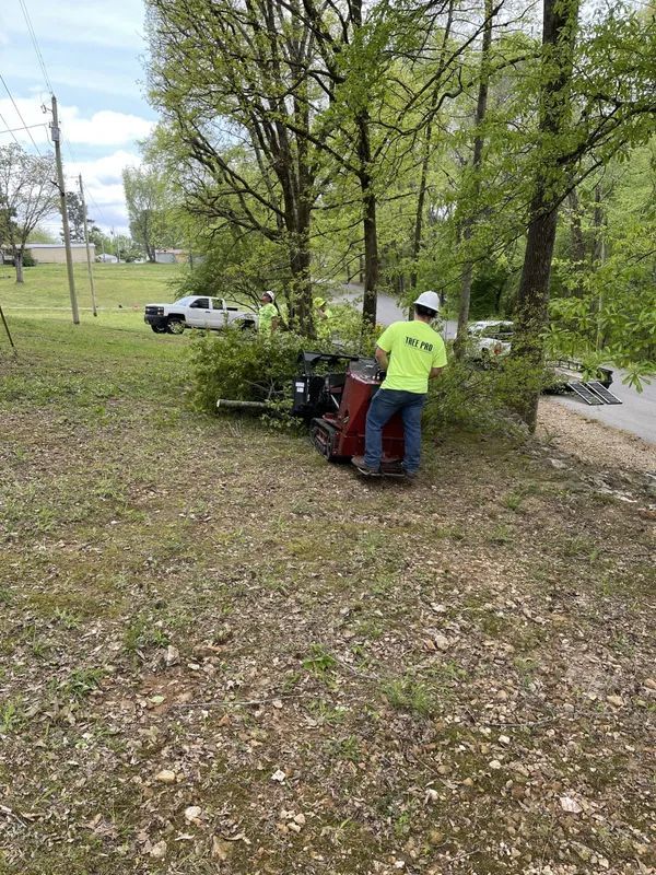Person in neon shirt operating a red lawn mower beside trees in a grassy park area Person in neon shirt operating a red lawn mower beside trees in a grassy park area