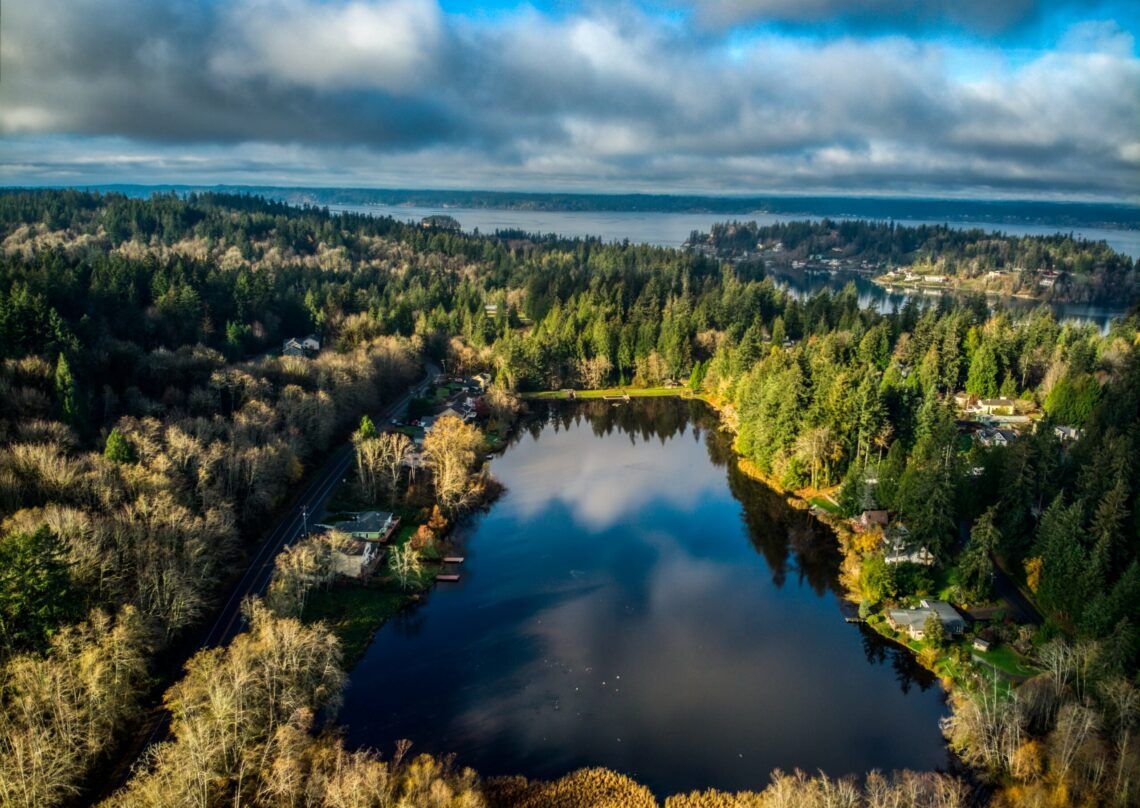 An aerial view of a lake surrounded by trees on a cloudy day.