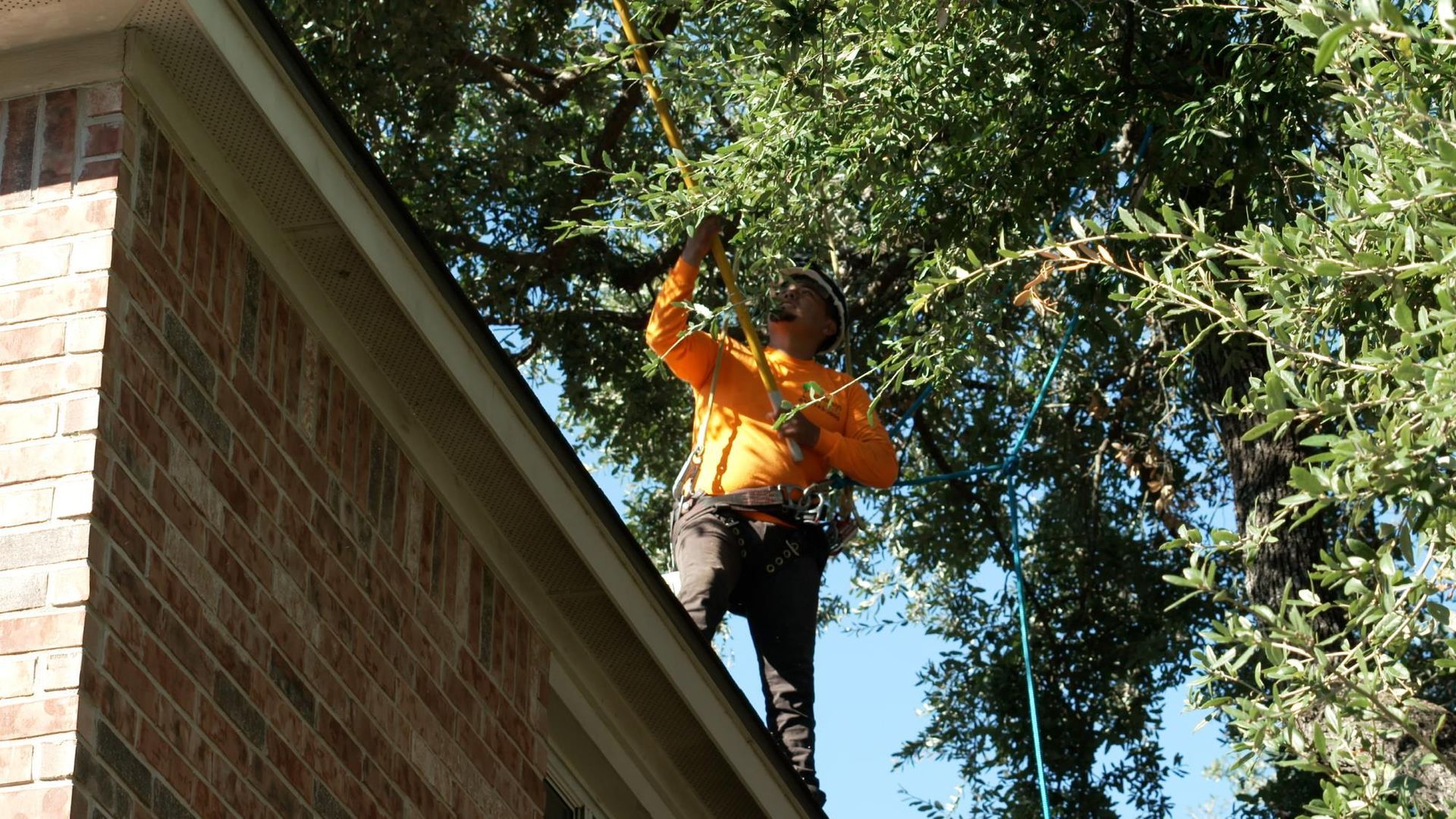 A man is standing on the roof of a house cutting a tree.