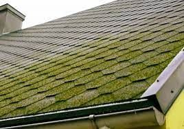 A close up of a roof with green moss on it.