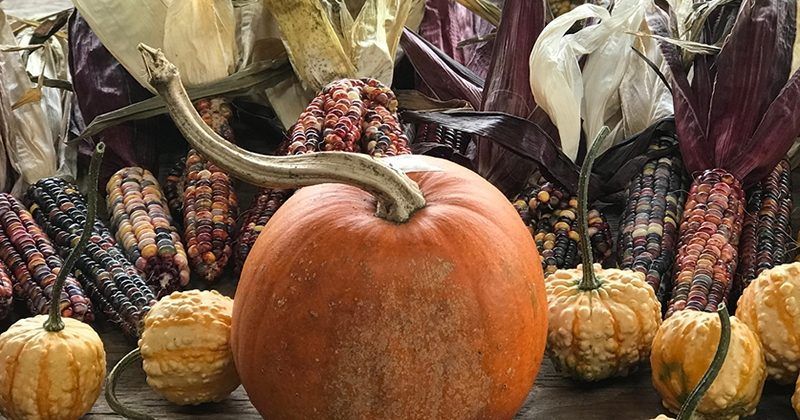 A pumpkin is sitting on a table surrounded by corn and other vegetables.