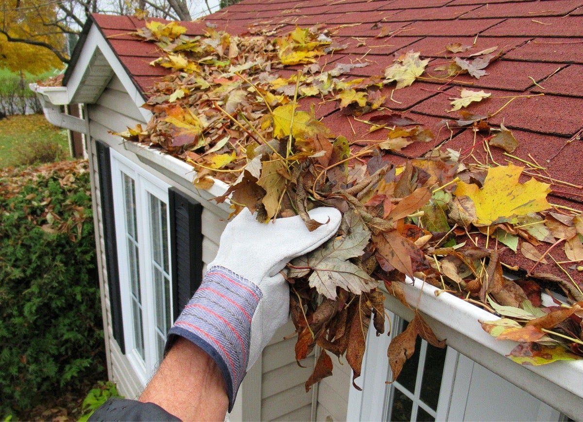 A person is cleaning a gutter of leaves from a house.