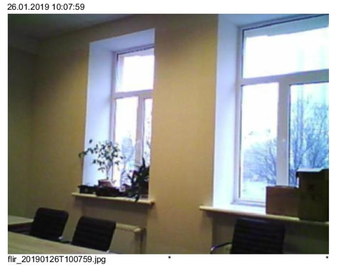 Two windows in a room, light-colored walls, chairs, and greenery on window sills.