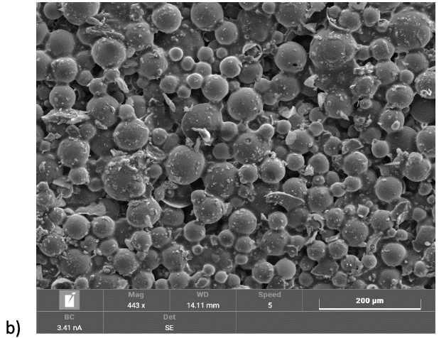 Microscopic view of spherical particles of varying sizes scattered, with a scale bar at bottom right.