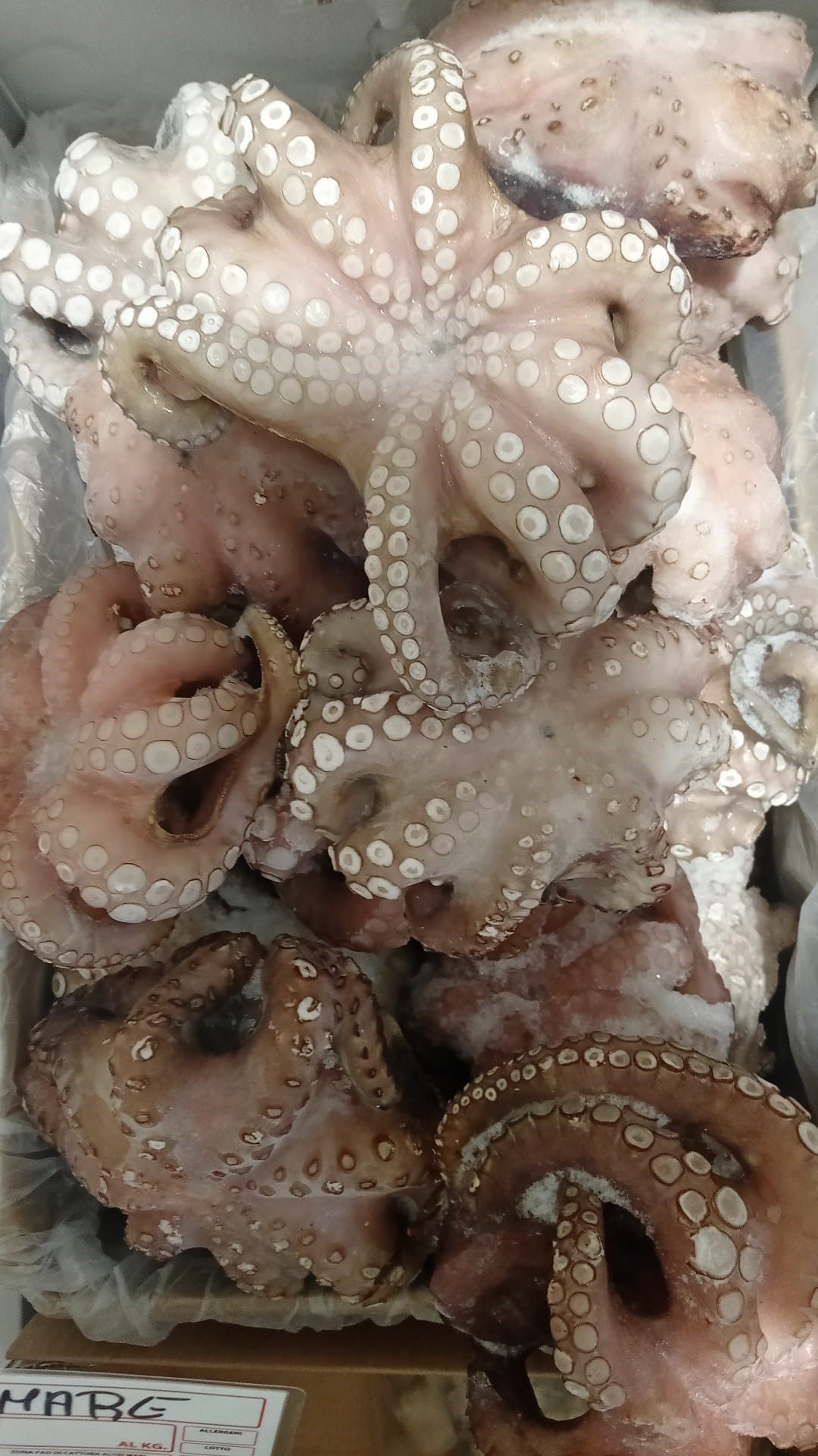 prodotti ittici