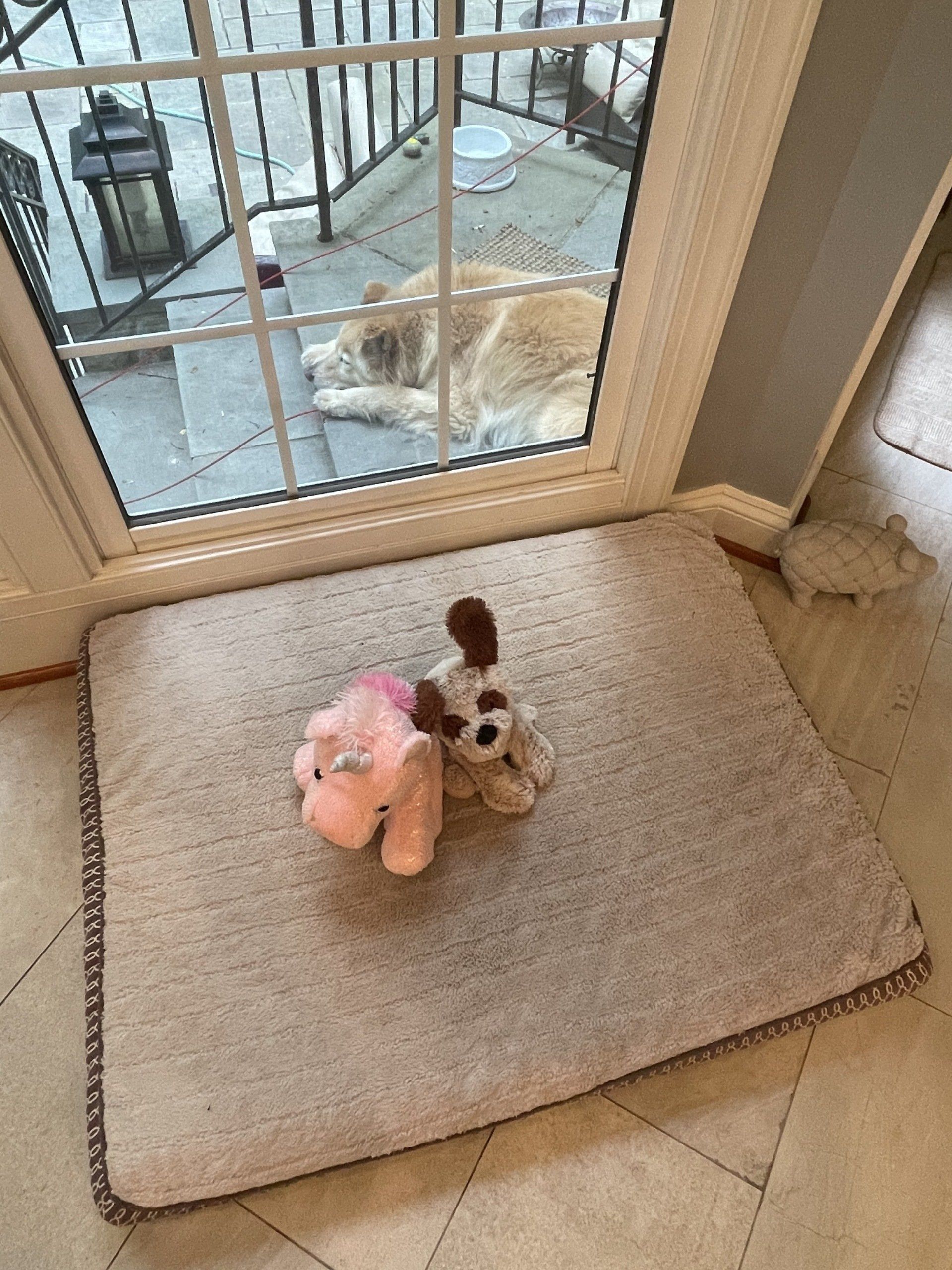 Two stuffed animals on a beige mat by a glass door, with a tan dog resting outside.