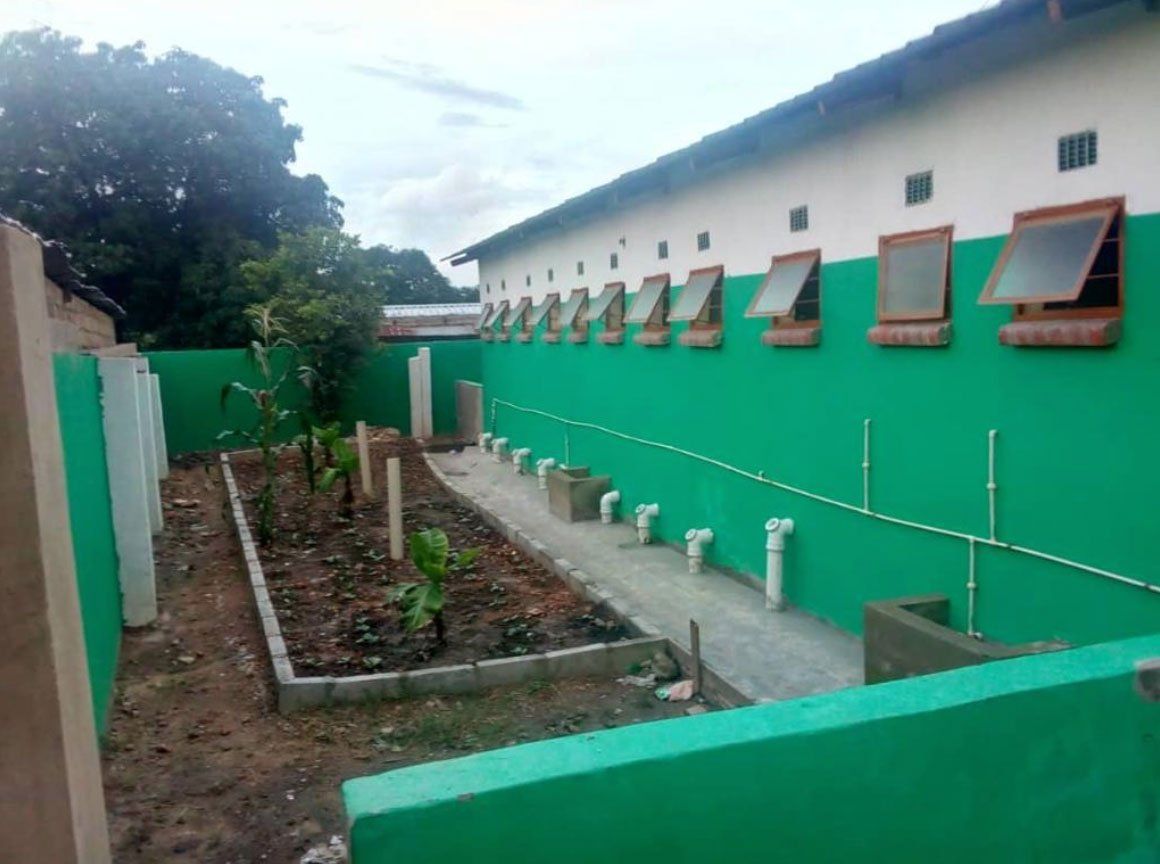 Outdoor walkway beside a green-and-white building with small awning windows and a narrow garden bed.
