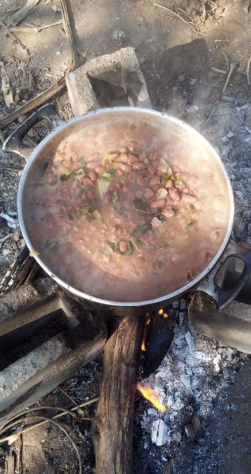 A pot of pink soup with chopped greens simmering over an open wood fire outdoors.