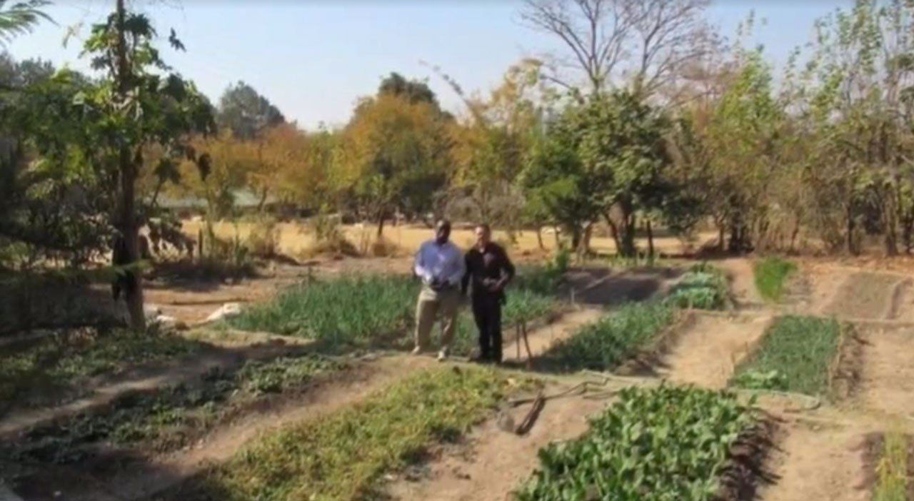 Two people walking through a small cultivated field with rows of green plants and trees in the background