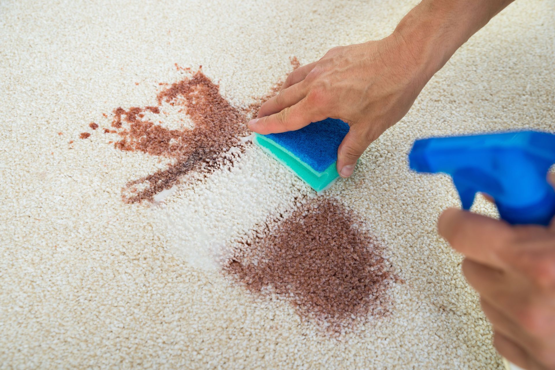 Remove Carpet Stains