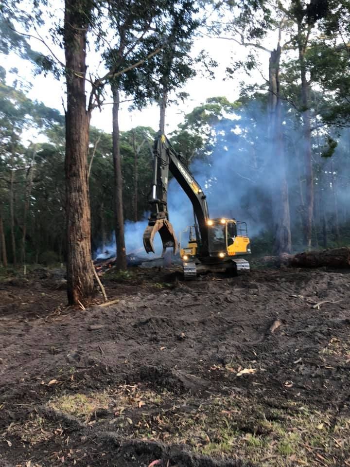 A yellow excavator is cutting down trees in a forest.