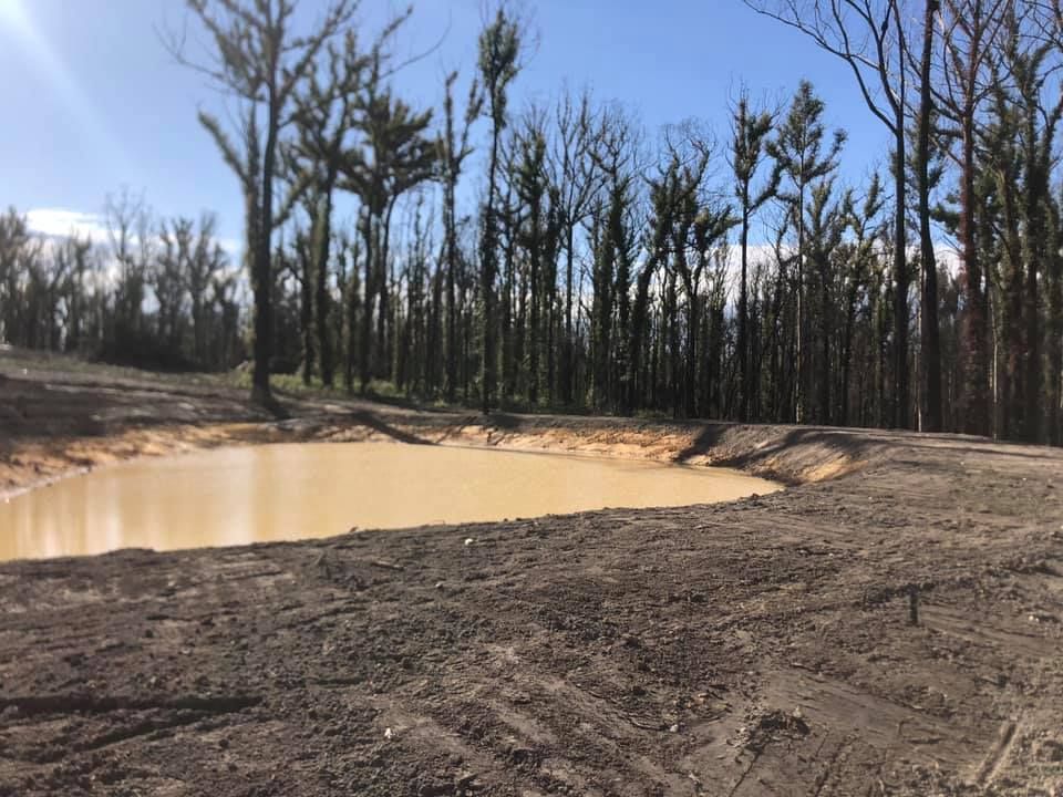 A small pond in the middle of a dirt field with trees in the background.