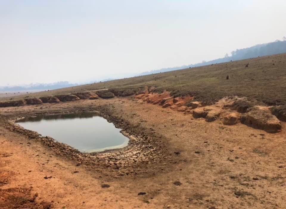There is a small pond in the middle of the desert.
