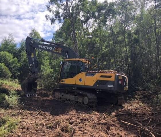 A yellow and black excavator is sitting in the middle of a forest.