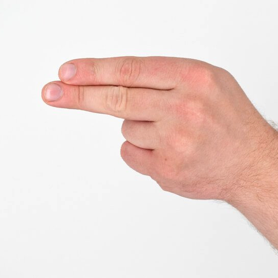 Letter 'H' in Sign Language (ASL)