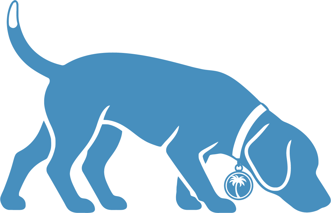 Beagle for That Neighborhood Guy