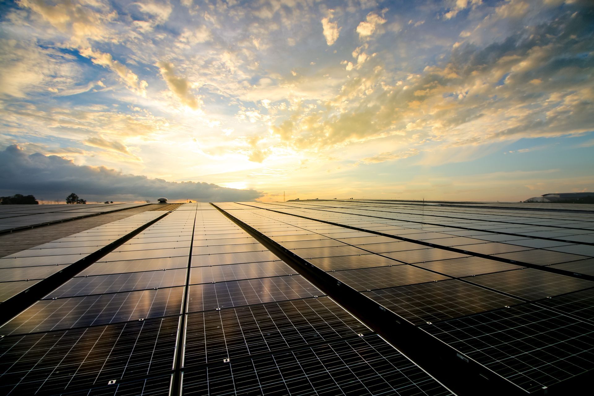a solar farm
