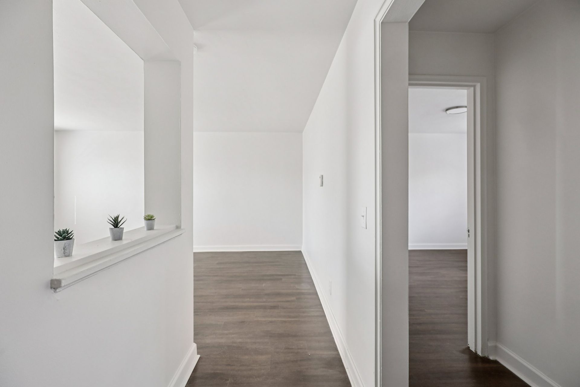 White hallway with dark wood floors, doorway, and open windowed wall with small potted plants.