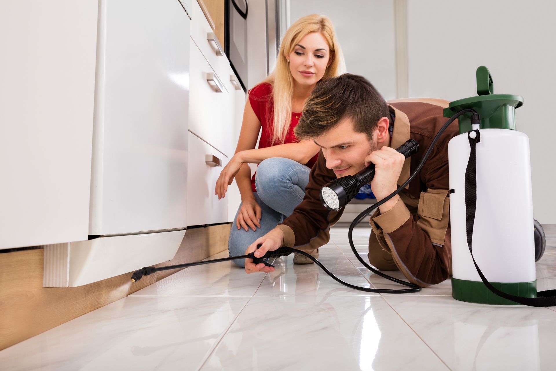 Exterminator worker spraying insecticide