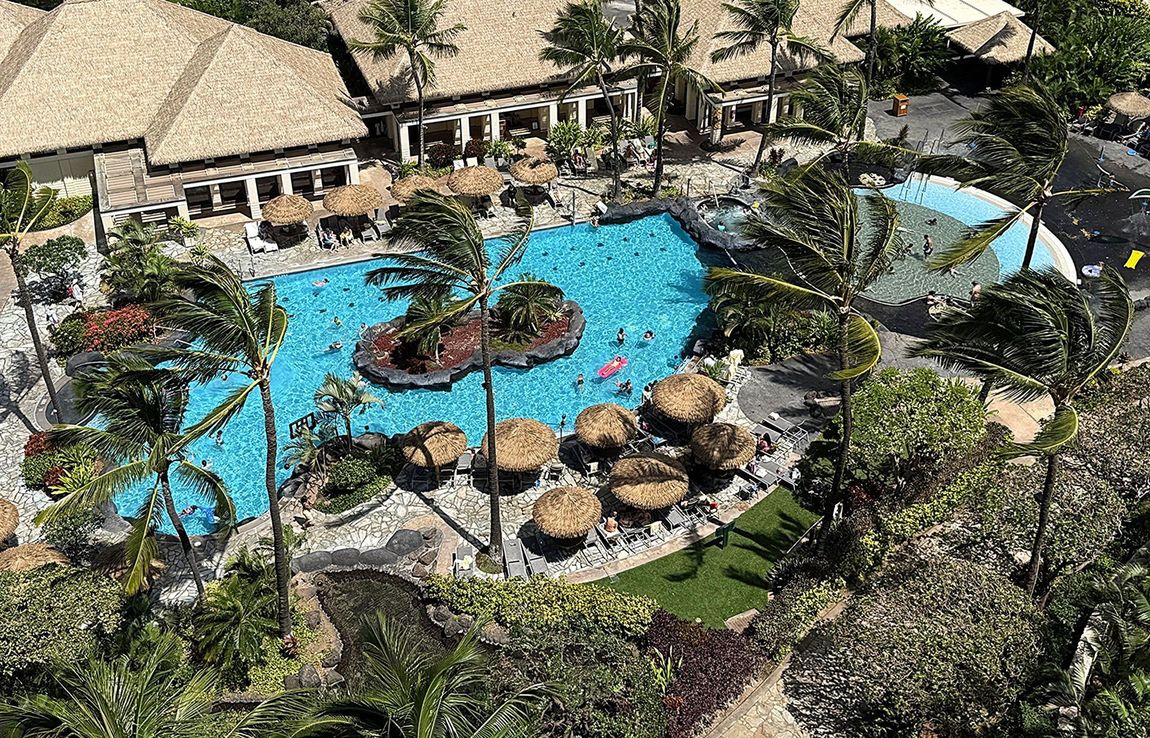 Tropical resort pool with thatched-roof huts, lush greenery, and a small island in the center.