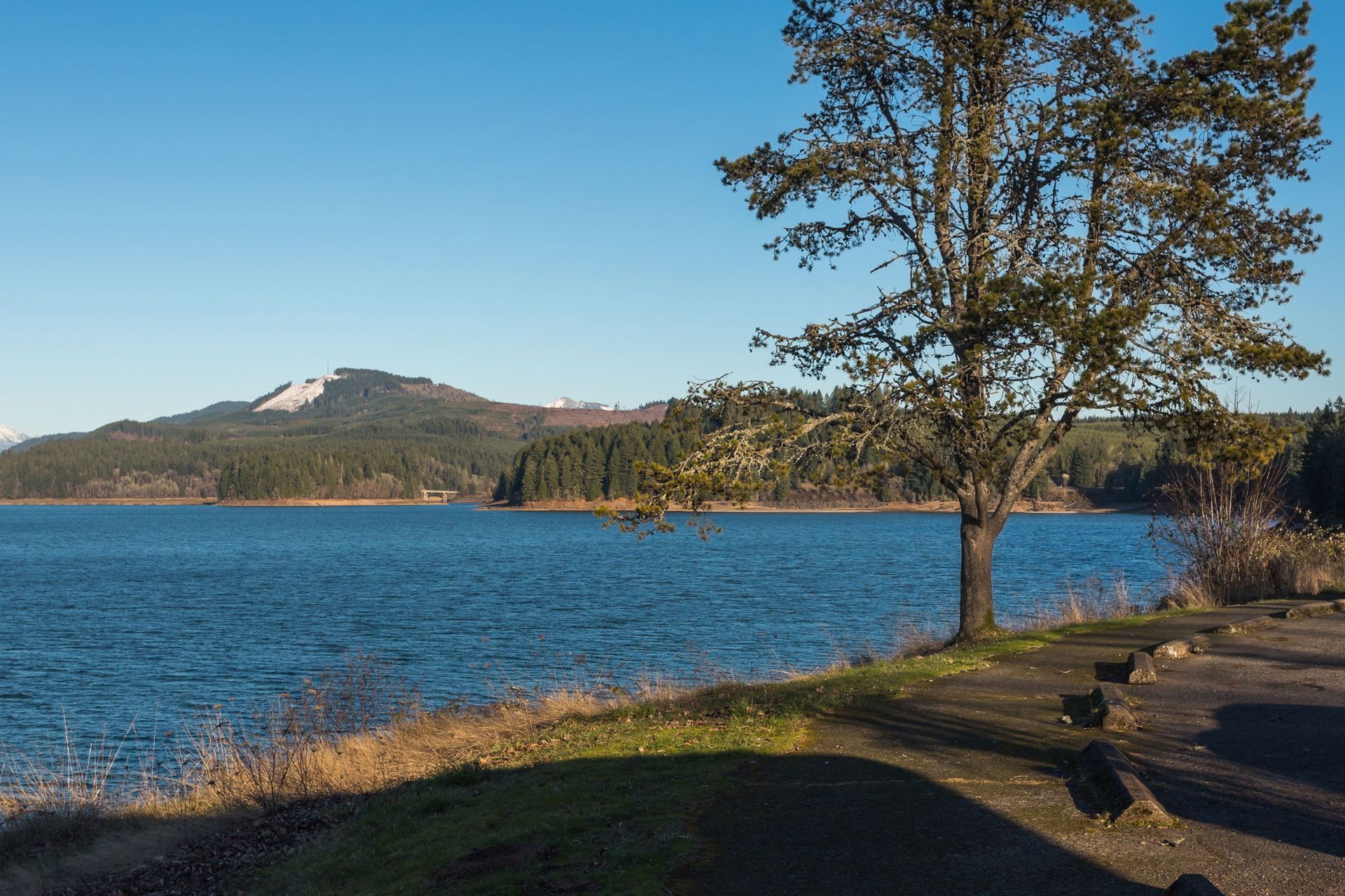 Photo of Lake - Click to View Sweet Home Availability