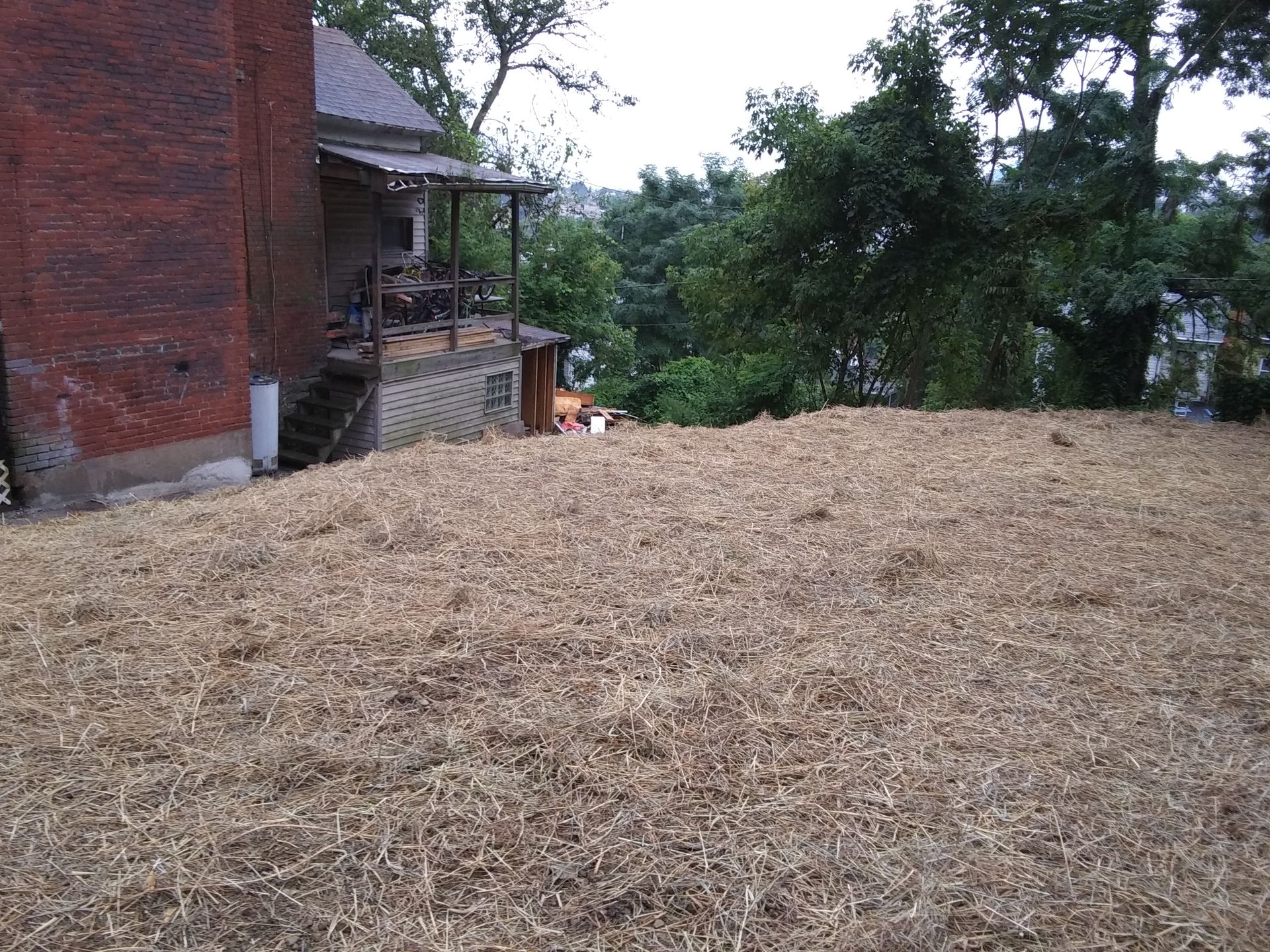 straw on the ground for grass planting after demolition