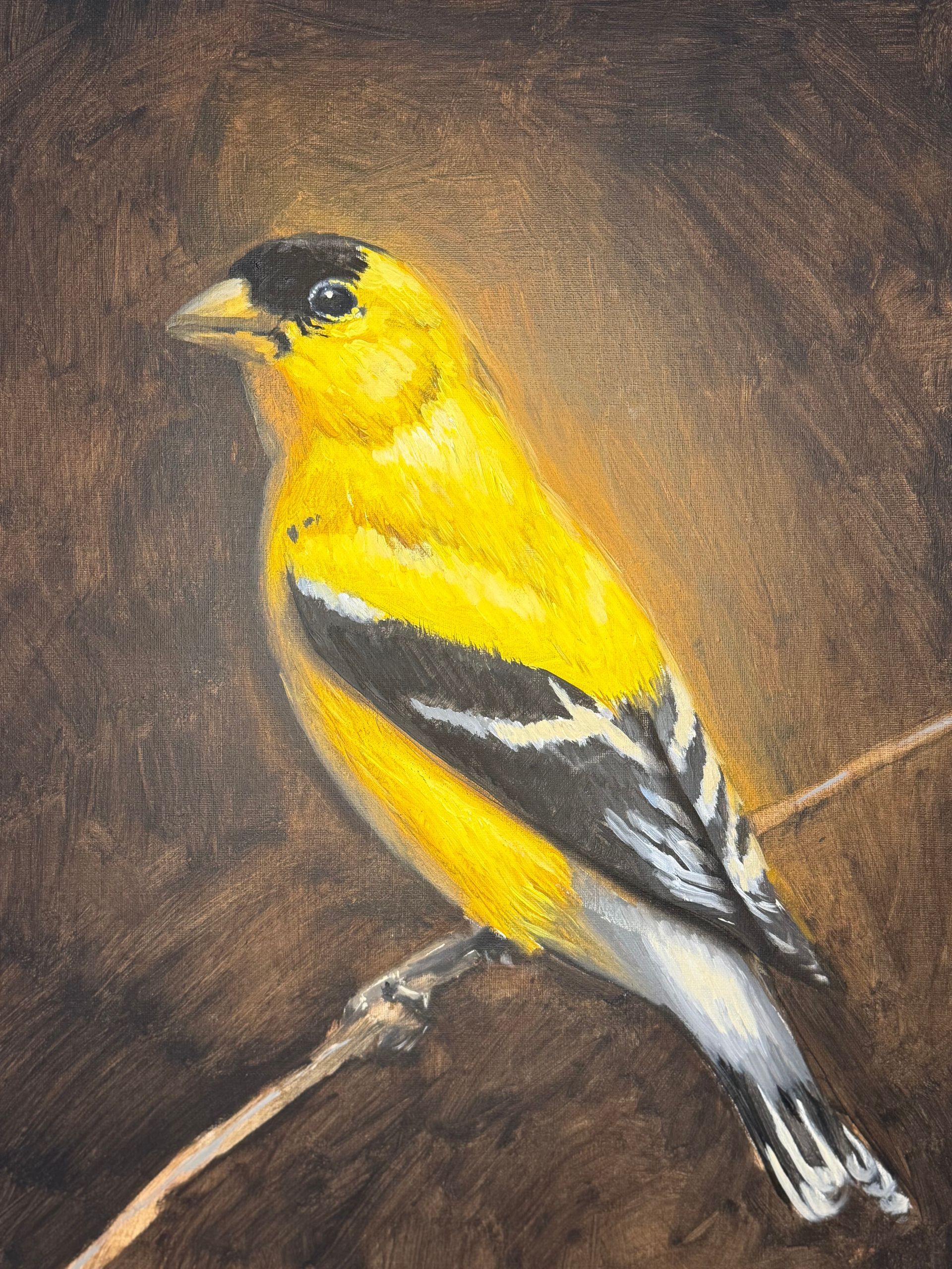 Donovan Fitzgerald Untitled (Bird)