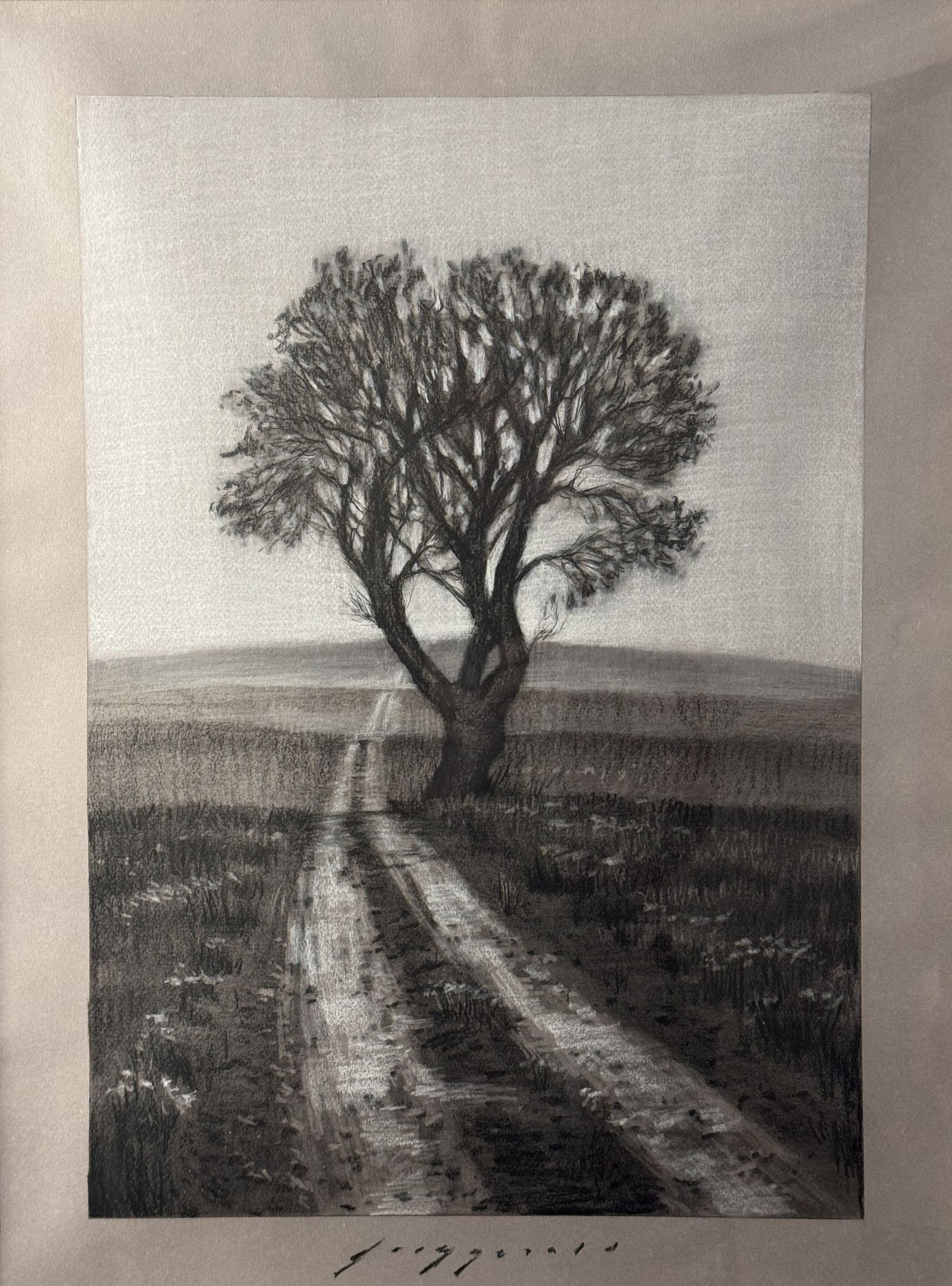 Donovan Fitzgerald - The Aging Tree