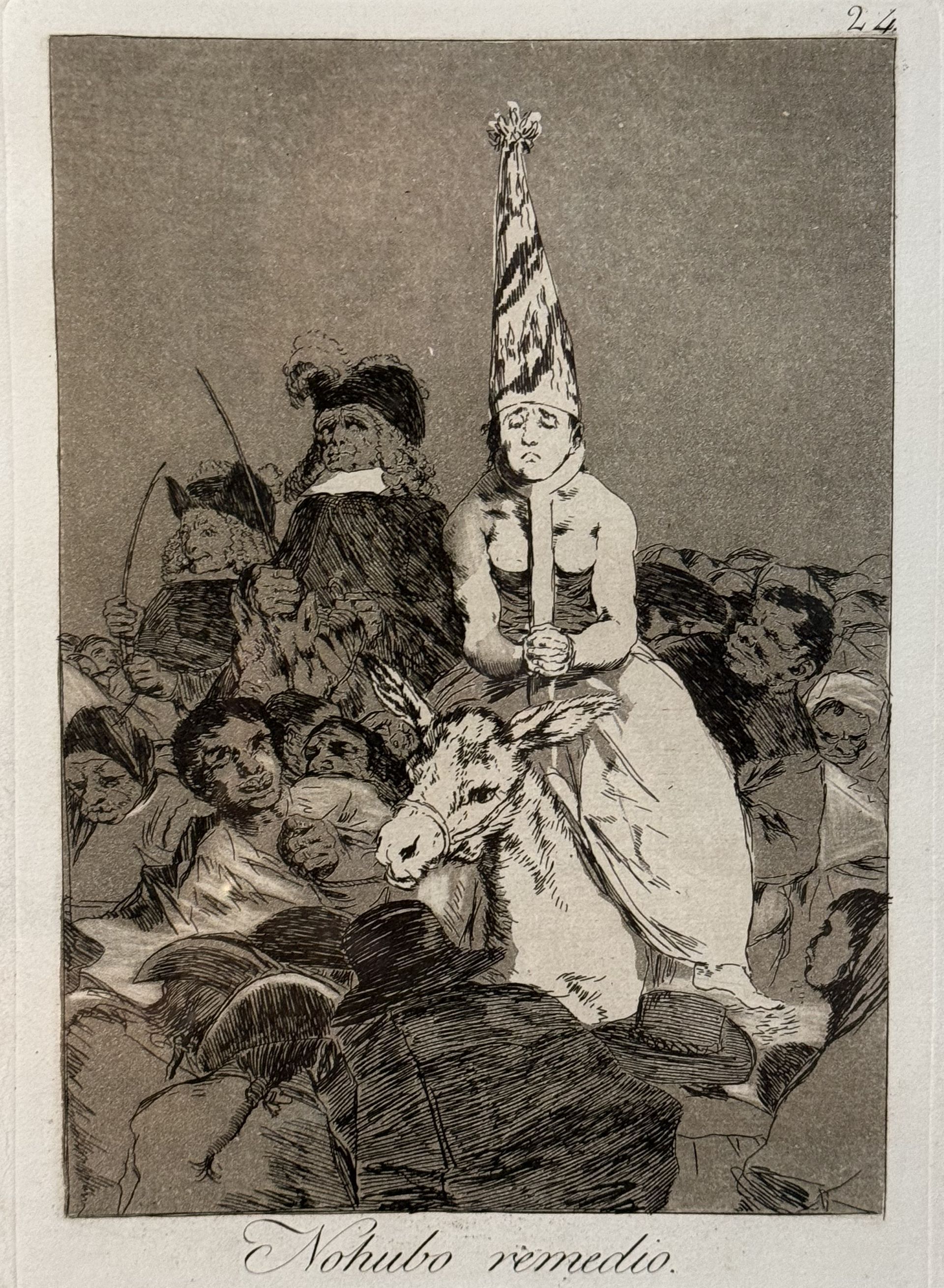 Goya - Nohubo Remedio