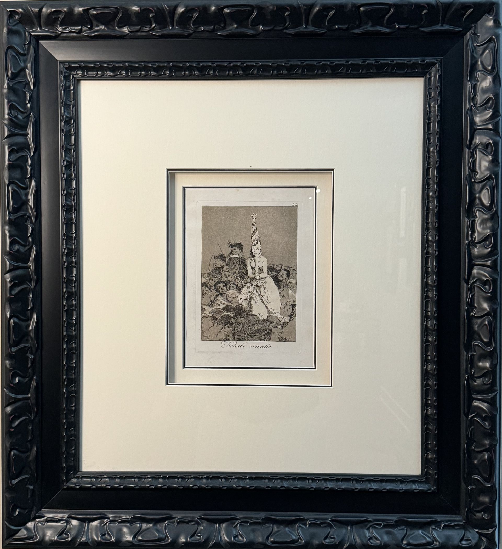 Goya - Nohubo Remedio
