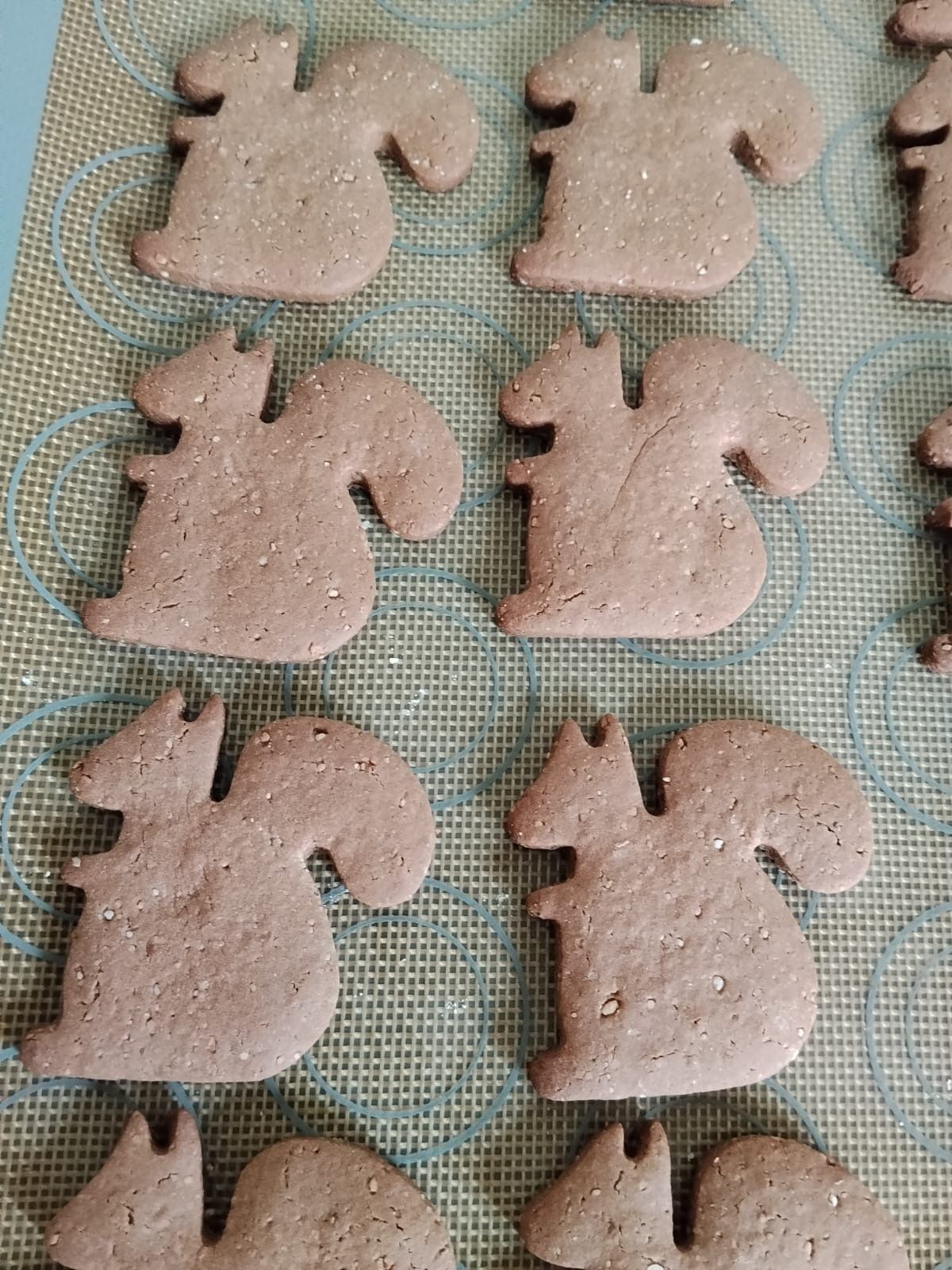 File di biscotti beige a forma di scoiattolo che si raffreddano su una griglia a rete verde