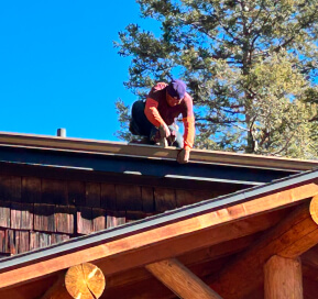Person kneeling on a rooftop, working near a pine tree under a bright blue sky.