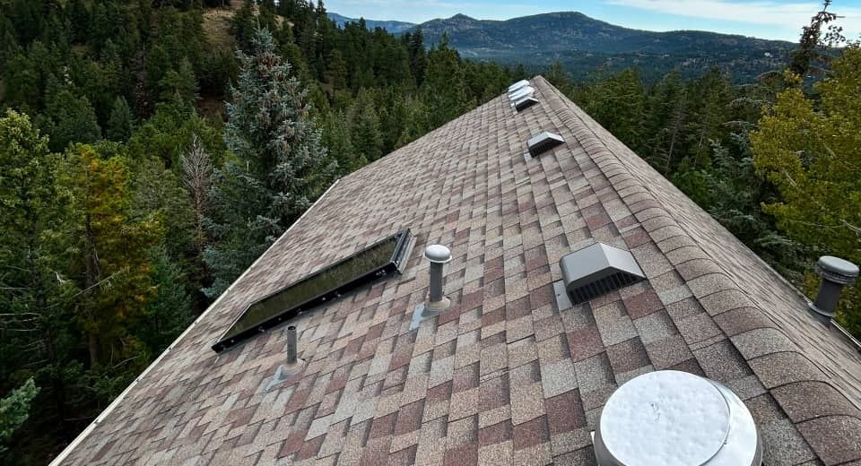 Roof with multiple skylights overlooking a forested mountain landscape