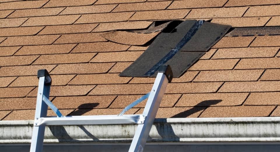Roof with a ladder and a dark vent cover on brown shingles